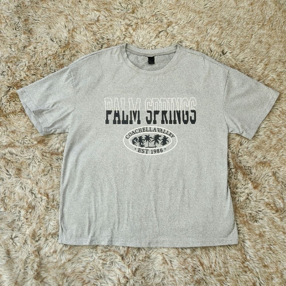Shein Palm Springs Coachella Valley Gray Short Sleeve T-shirt Size‎ XS